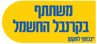משתתף בקרנבל החשמל בכפוף תקנון