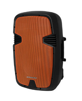 בידורית בלוטוס 300W עם 2 מיקרופונים pure-acoustics PMW2012