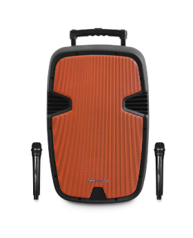 בידורית בלוטוס W400 עם 2 מיקרופונים pure-acoustics PMW2015